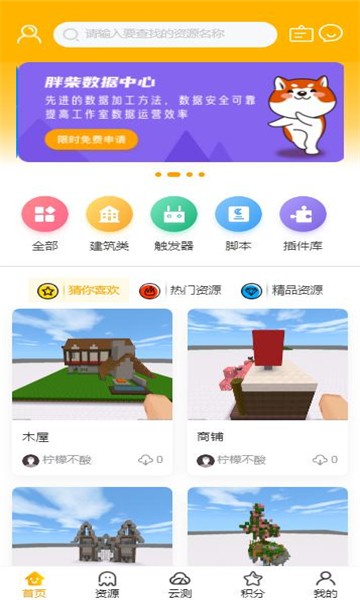 胖柴 1