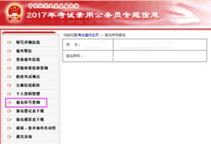 揭秘！轻松查询考生报名号的绝妙方法 3