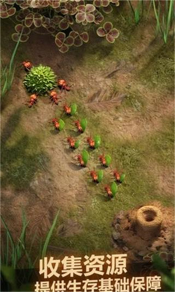 蚂蚁地下王国 截图5