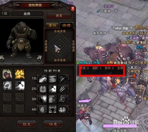 揭秘！斗战神狐狸如何获取可爱白熊？ 3