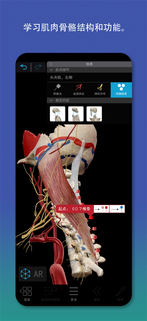 atlas人体解剖软件 截图4