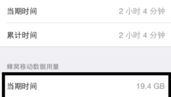 怎样查看手机本月（当天）流量使用情况？ 2