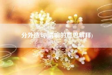 分外的双重含义精彩造句示例 4