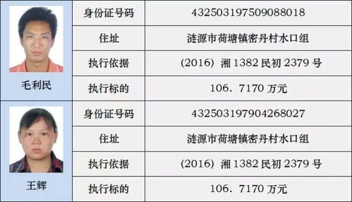 一键揭秘！如何快速查询失信人员名单？ 1