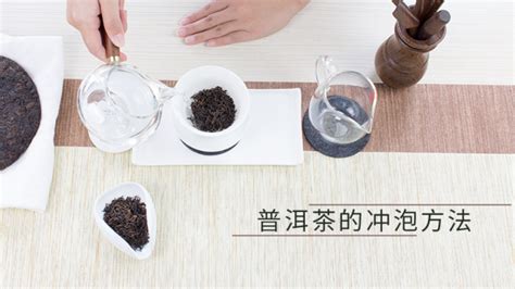 如何完美冲泡普洱茶？9个必学步骤大揭秘！ 3