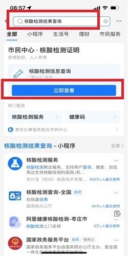 一键解锁：如何在支付宝轻松查询核酸检测报告电子版 4