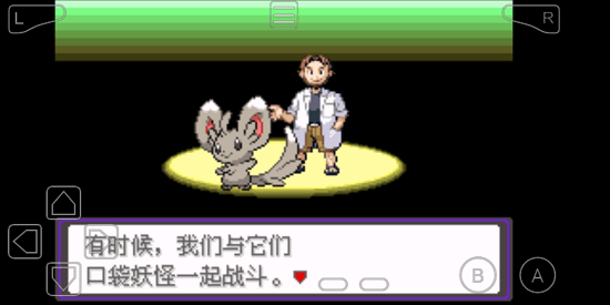 口袋妖怪漆黑的魅影5.0手机版 1