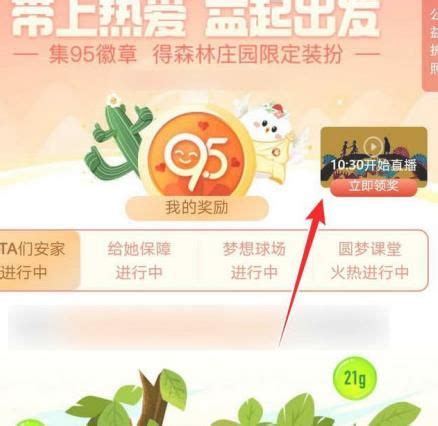 揭秘！支付宝中获取能量保护罩的绝妙方法 3