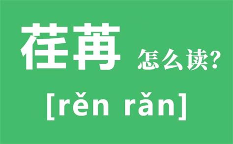 如何正确发音'荏苒'？读音教程 5