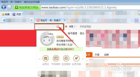 淘宝买家信誉等级，一查便知的实用指南 2