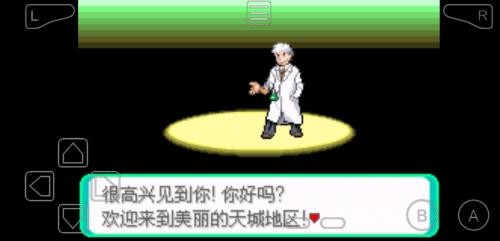 口袋妖怪黑暗之火汉化版 截图2