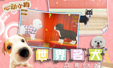 心动小狗最新版 截图5