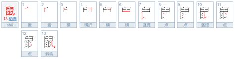 如何正确书写'鼠'字的笔顺？ 3