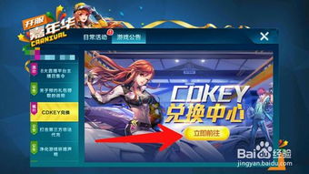 如何获取QQ飞车CDKey？ 3