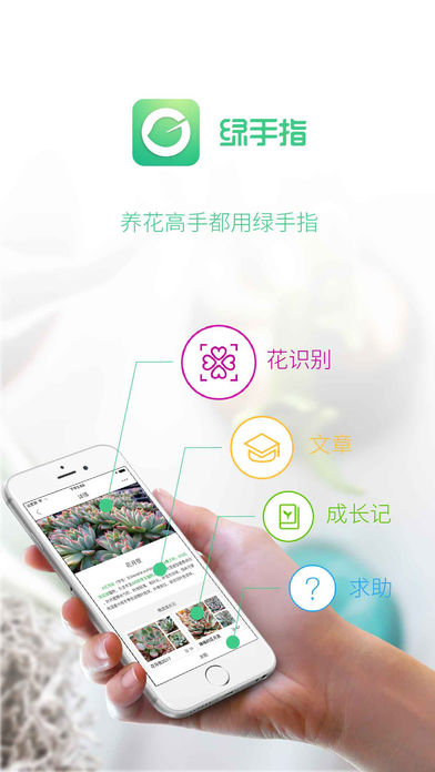 绿手指 1