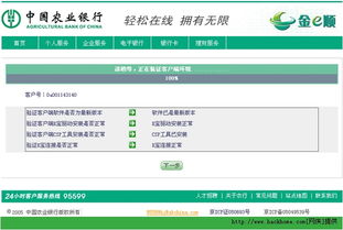 如何下载安装中国农业银行网上银行安全控件 4