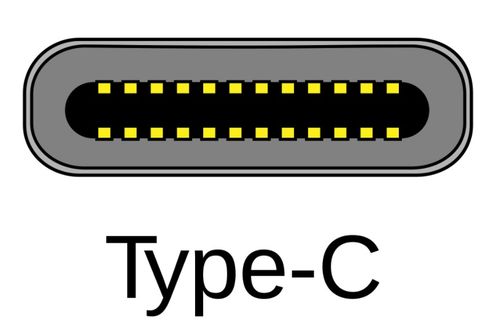 请问'type'这个词的具体含义是什么？ 2