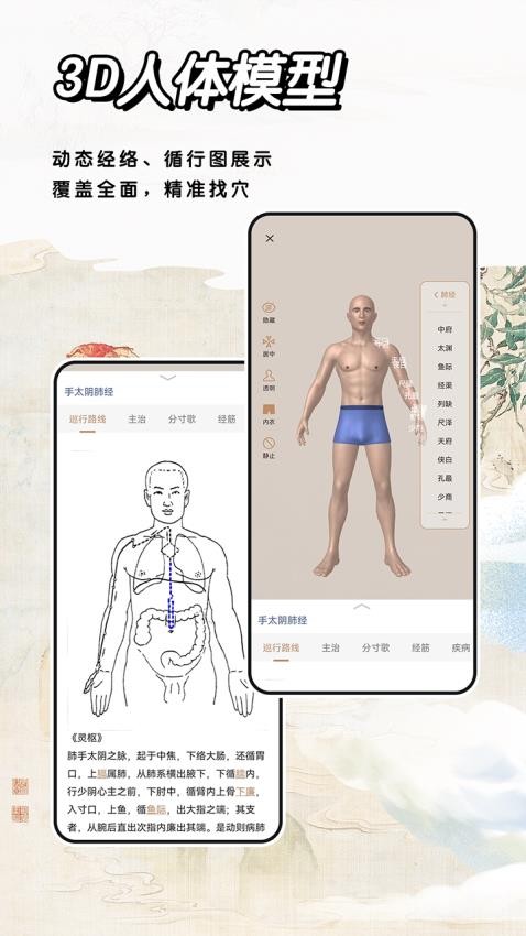 中医经络穴位标准指南 截图4
