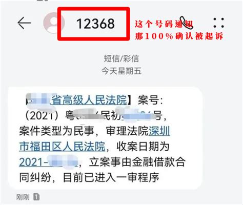 一键揭秘！如何通过12368热线高效查询自己是否面临起诉风险 5