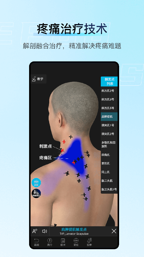 解剖大师安卓版 截图3
