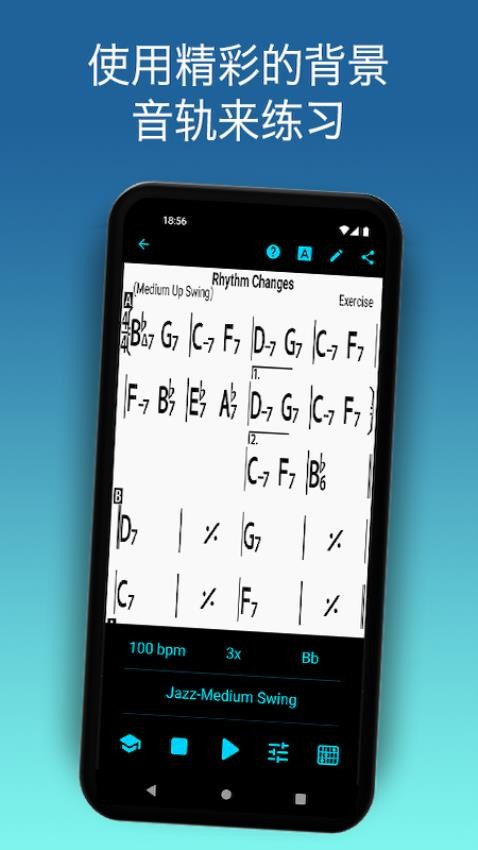 iReal Pro免费版 v2025.2-china 手机版 截图4