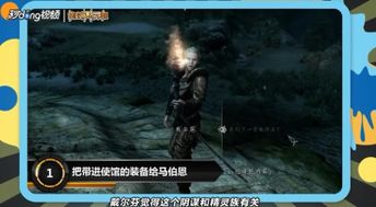 上古卷轴5: Skyrim：使馆风云，外交豁免下的混乱篇章 4