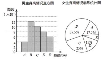 如何详细制作扇形统计图的过程？ 2