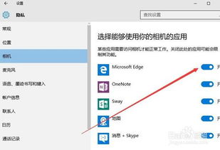 Windows 10麦克风与摄像头开关设置指南 2