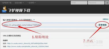 轻松学会：网上在线视频下载技巧 2