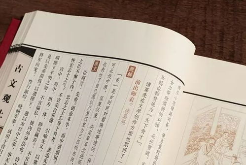 三衢道中：详细注释与译文解析 2