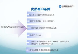 揭秘：轻松申请建行个人信用贷款的步骤与技巧 2