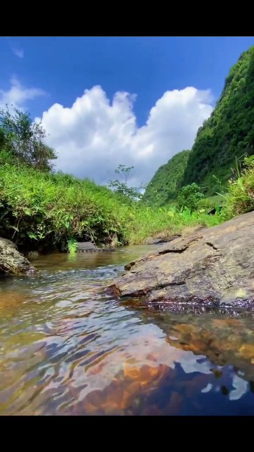 解析：淙淙流水与潺潺流水的差异 1