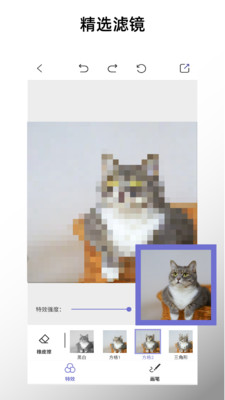 特效马赛克APP 截图2