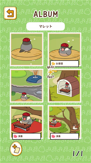 鸟之音手游 截图5