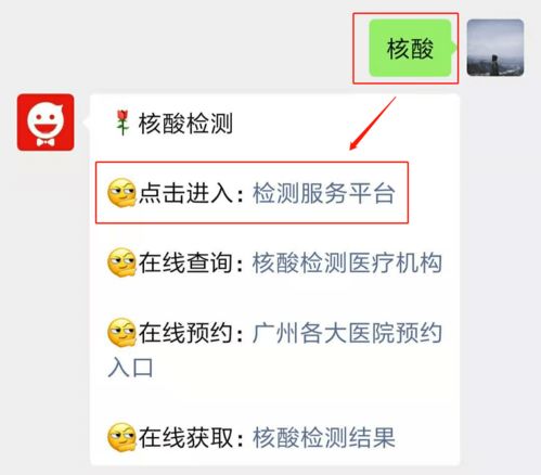 轻松掌握：网上预约核酸检测的便捷步骤 1