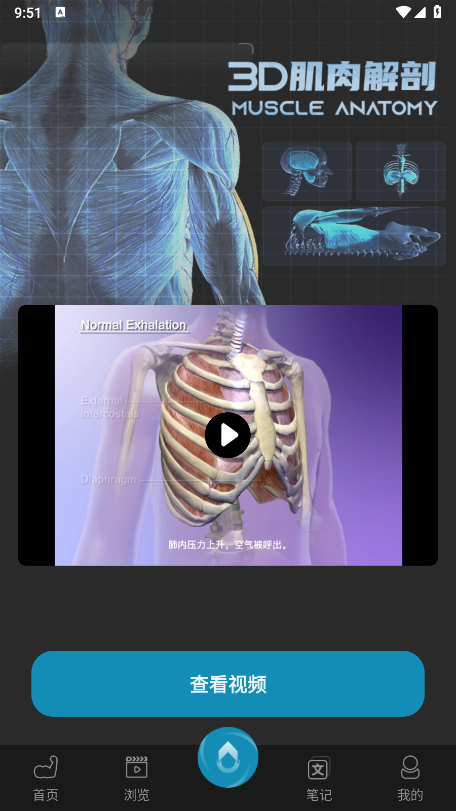 3D肌肉解剖手机版 截图1