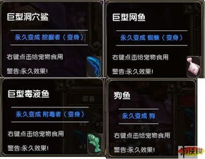 火炬之光：宠物装备更换、变身技巧与高效回程交易指南 2