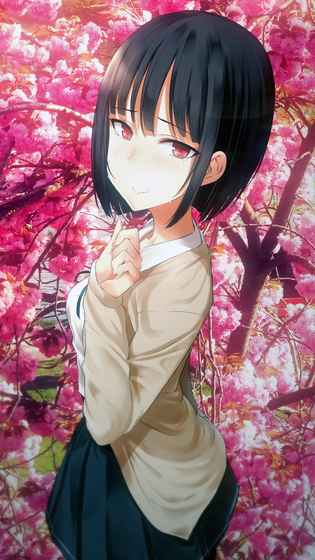 傲娇小姑娘 1