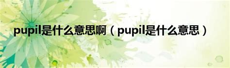 如何正确发音'pupil'？ 4