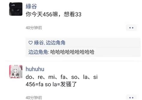 456背后的网络流行语含义 2