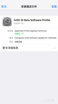 iPad Air 2用户必看：无需越狱，轻松告别iOS更新提醒！ 3