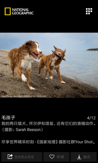国家地理 截图4