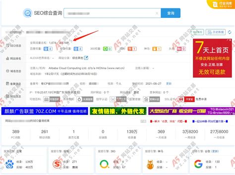 如何实现网站收录、权重、PR值等信息的一键查询？ 4