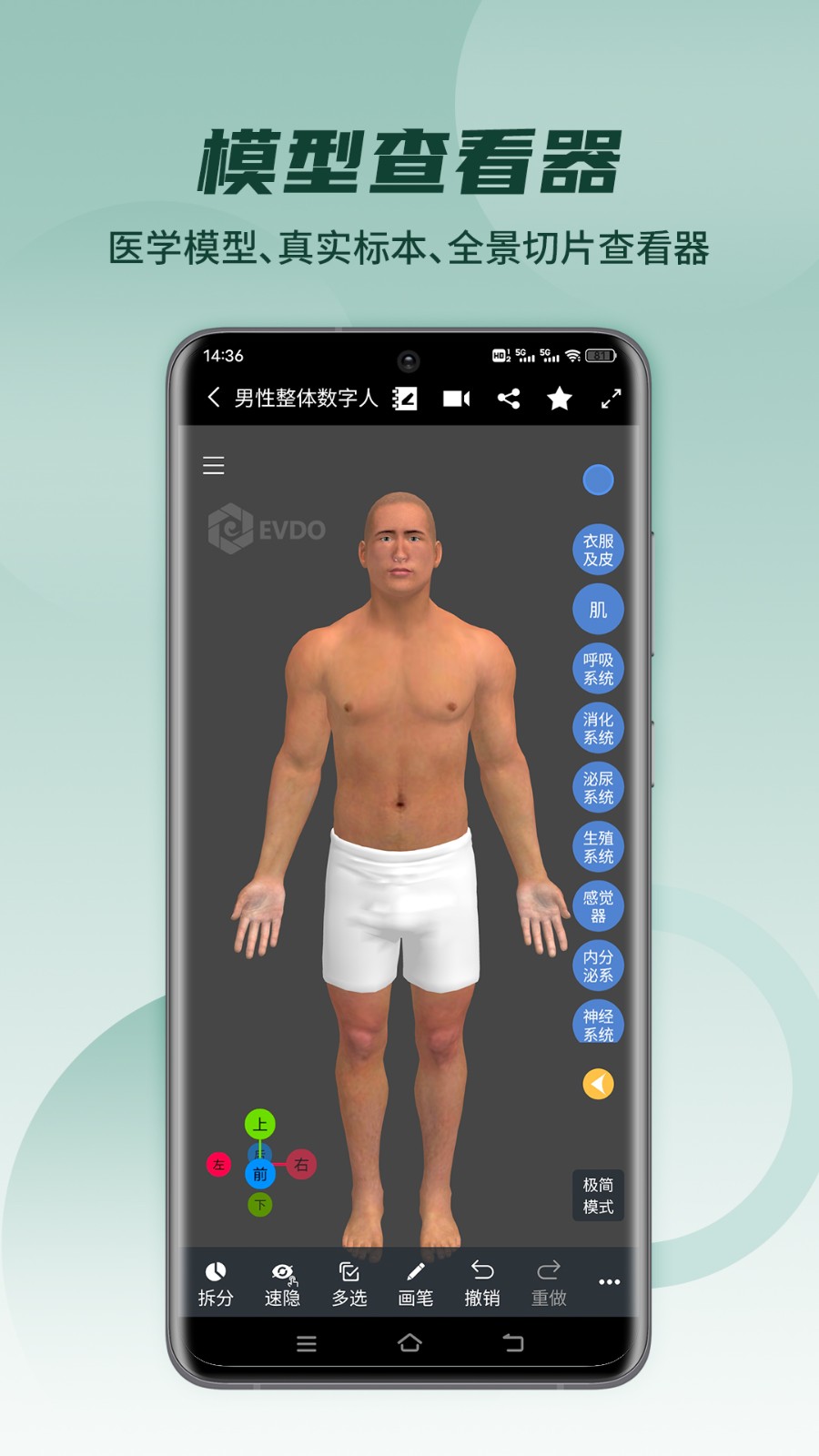 医维度解剖app 1