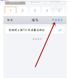 手机浏览器也能畅享：全新全视频列表体验 2