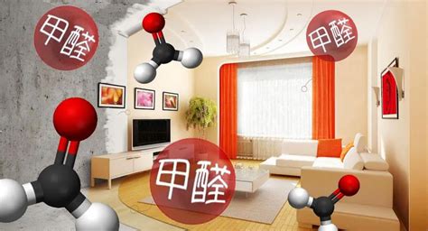 6大绝招！快速清除新房甲醛，让健康无忧住新家 1