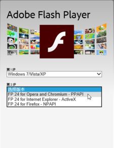 如何解决chrome浏览器adobe flash player插件过期问题？ 1