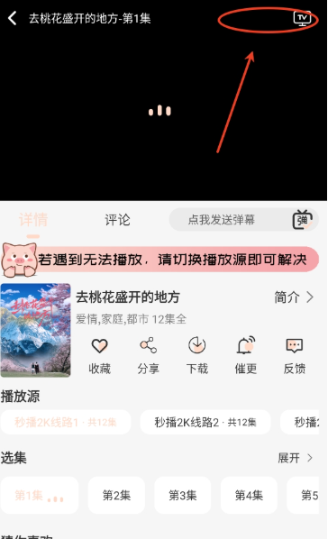 小猪4K官方版本 截图4