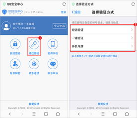 掌握QQ密码修改的轻松步骤！ 3