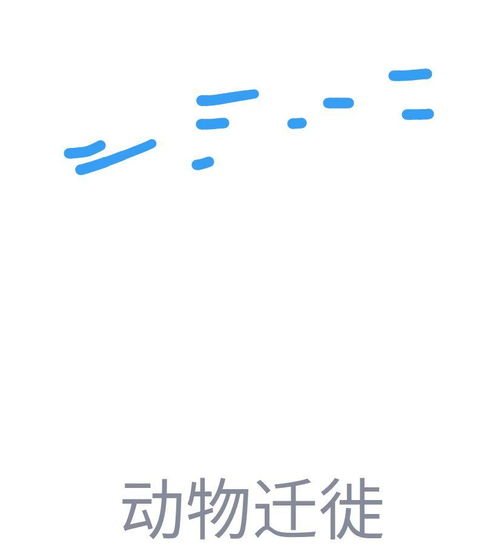 如何绘制QQ红包主题的动物迁徙图 3